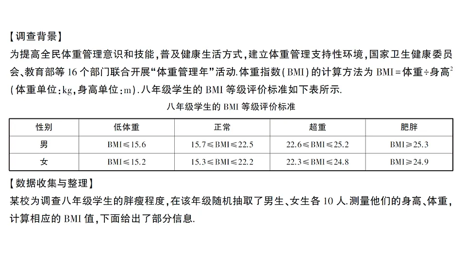 17665405第2页
