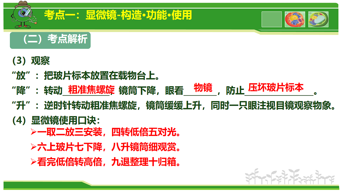 17665408第7页