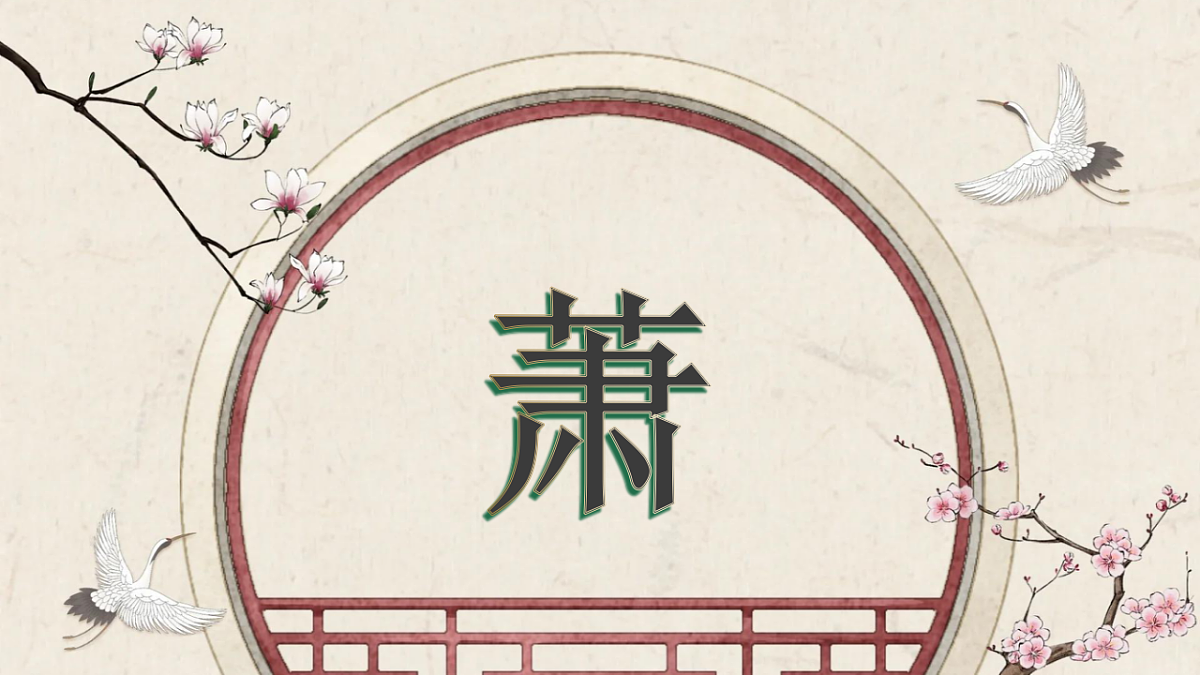 17665487第6页