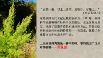 人教版（2024）七年级上册（2024）藻类、苔藓和蕨类课文课件ppt