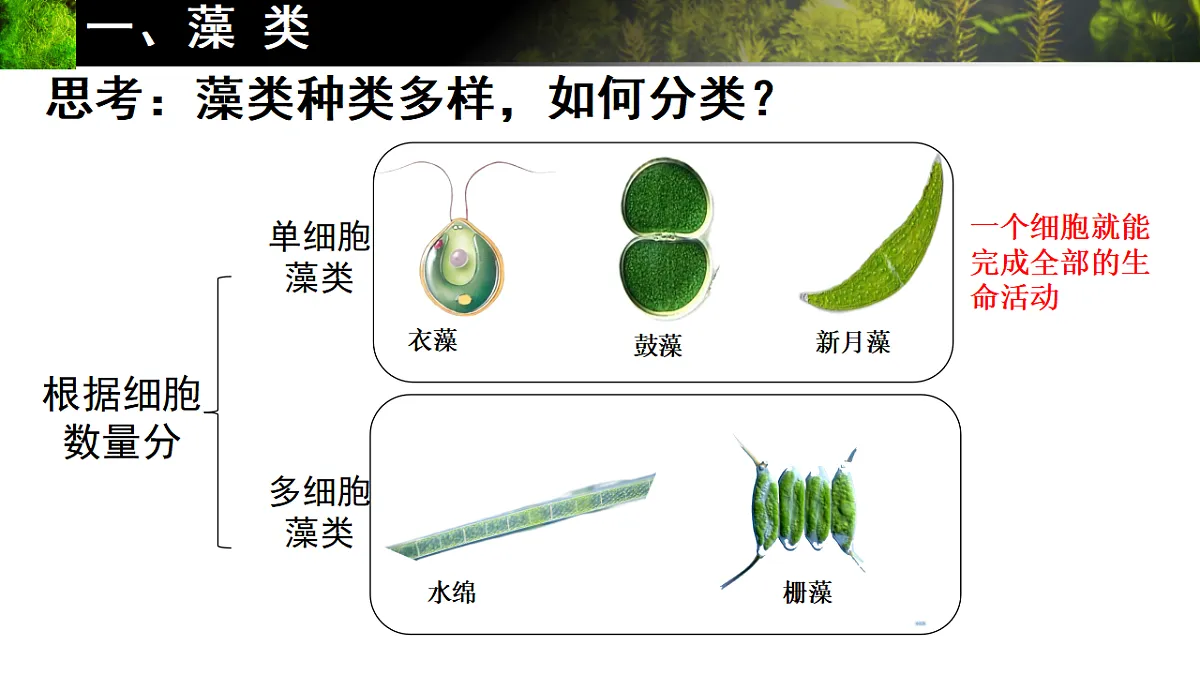 17665750第3页