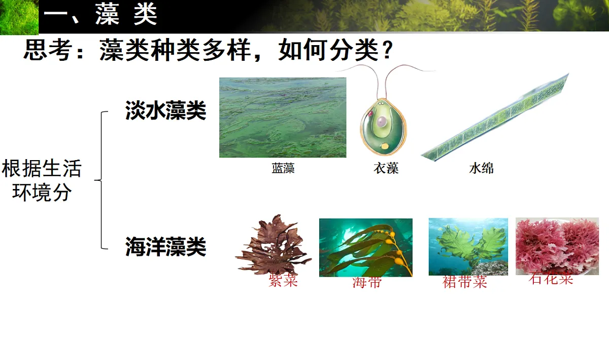 17665750第4页