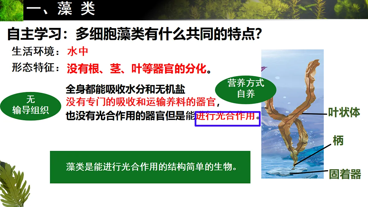 17665750第5页