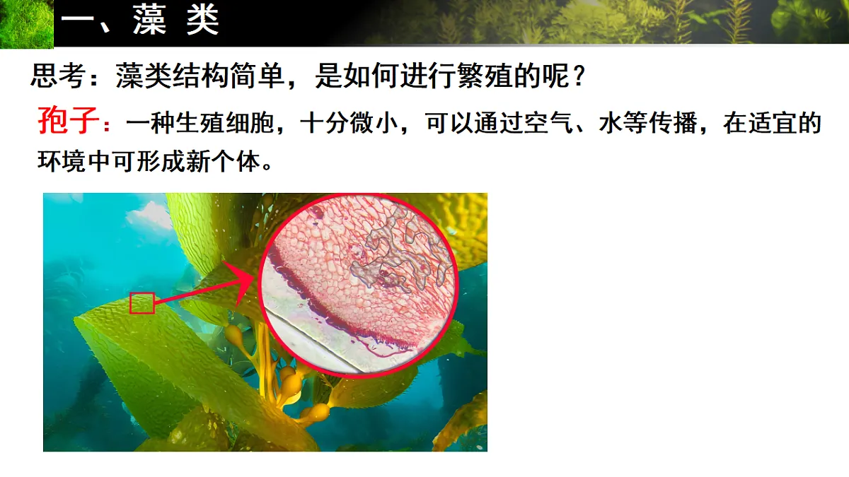 17665750第6页