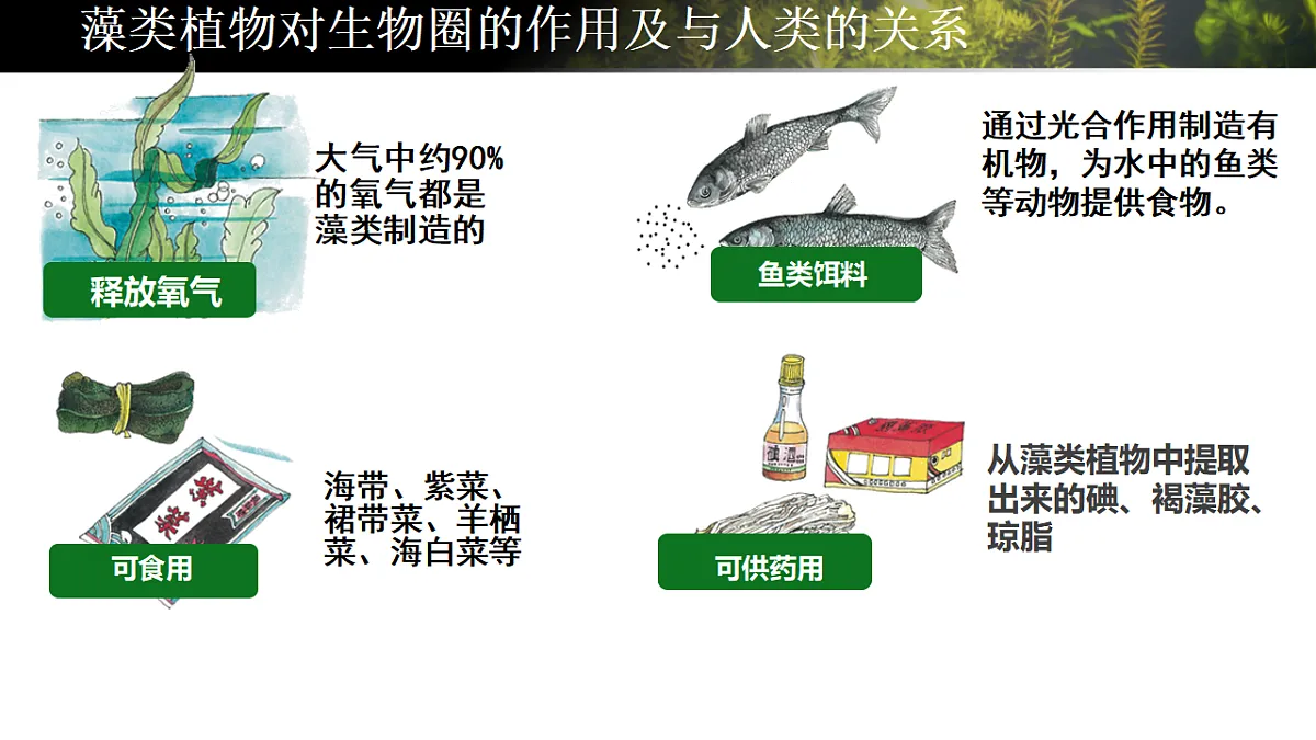 17665750第7页