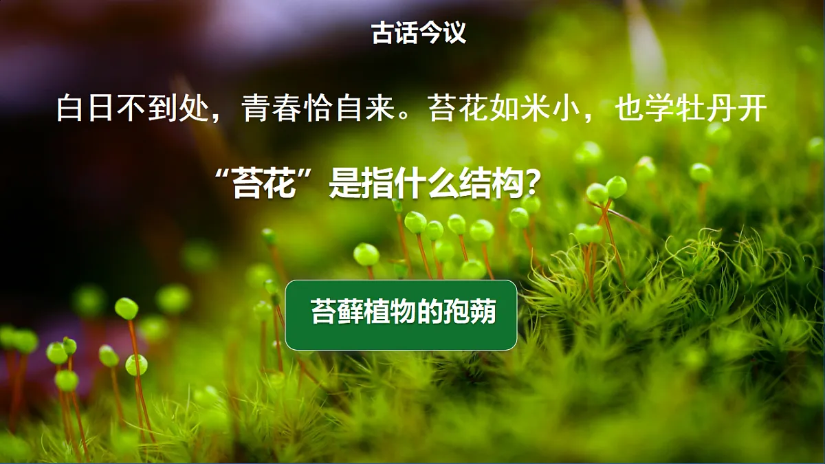 17665750第8页