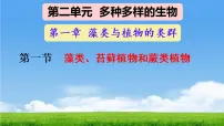 人教版（2024）七年级上册（2024）藻类、苔藓和蕨类教课内容ppt课件