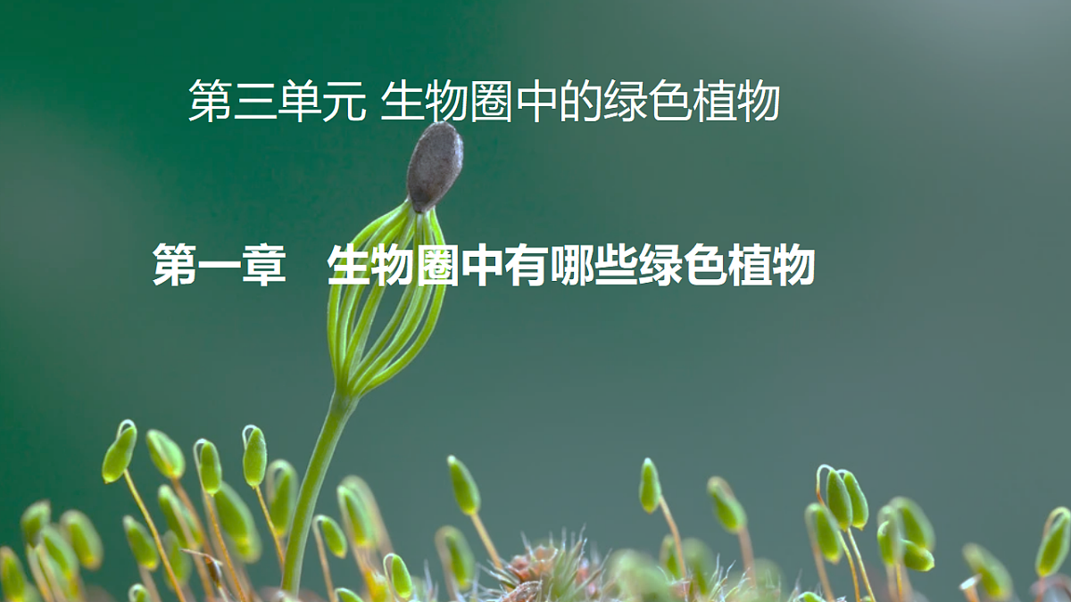 17665753第1页