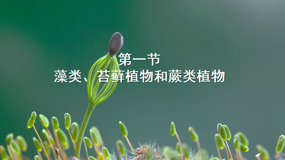 17665753第3页