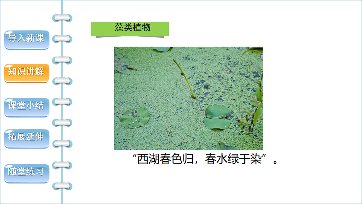 17665753第5页