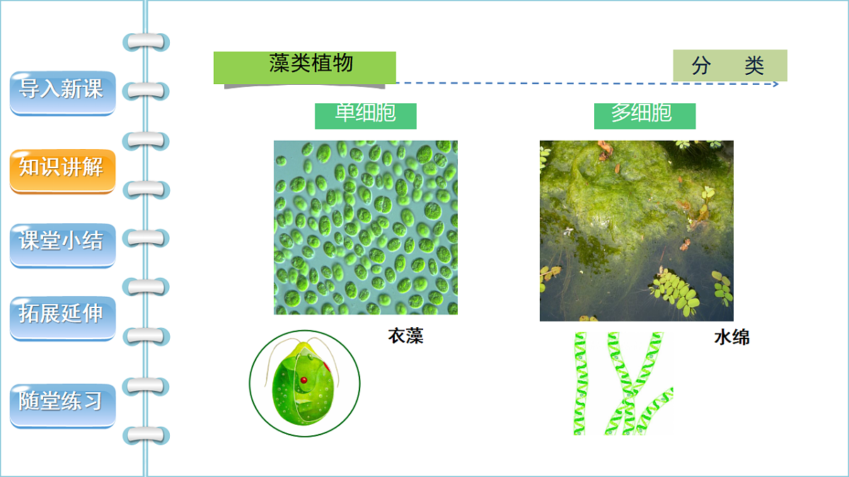 17665753第6页