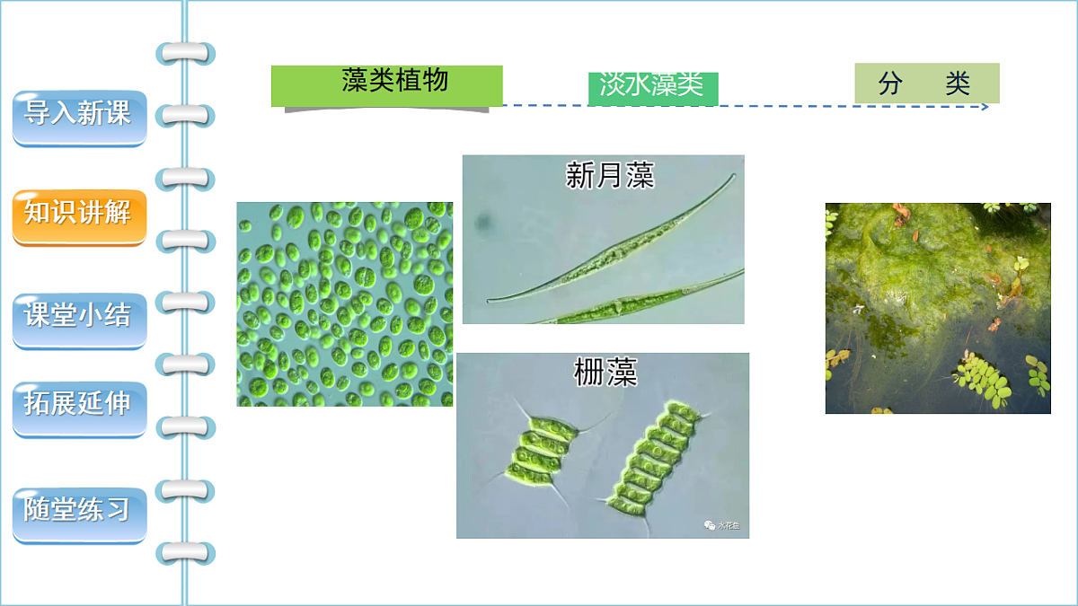 17665753第7页
