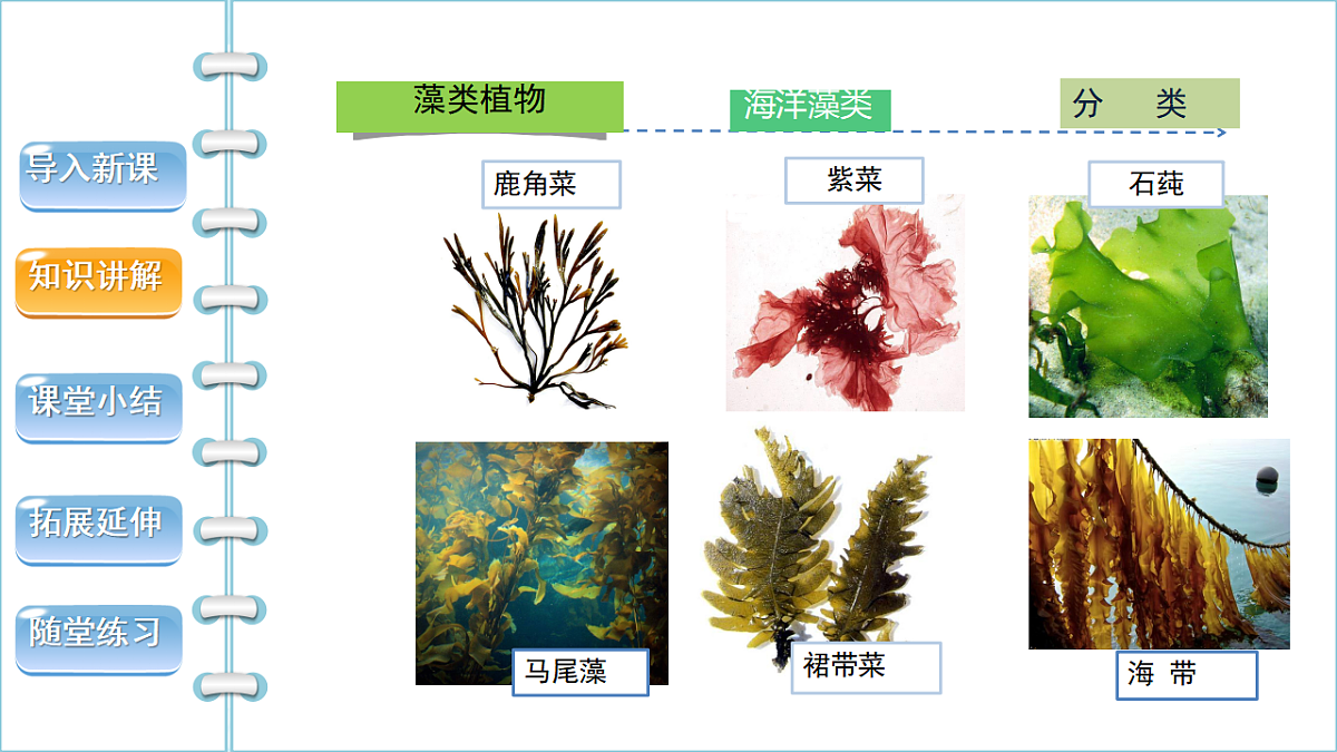 17665753第8页
