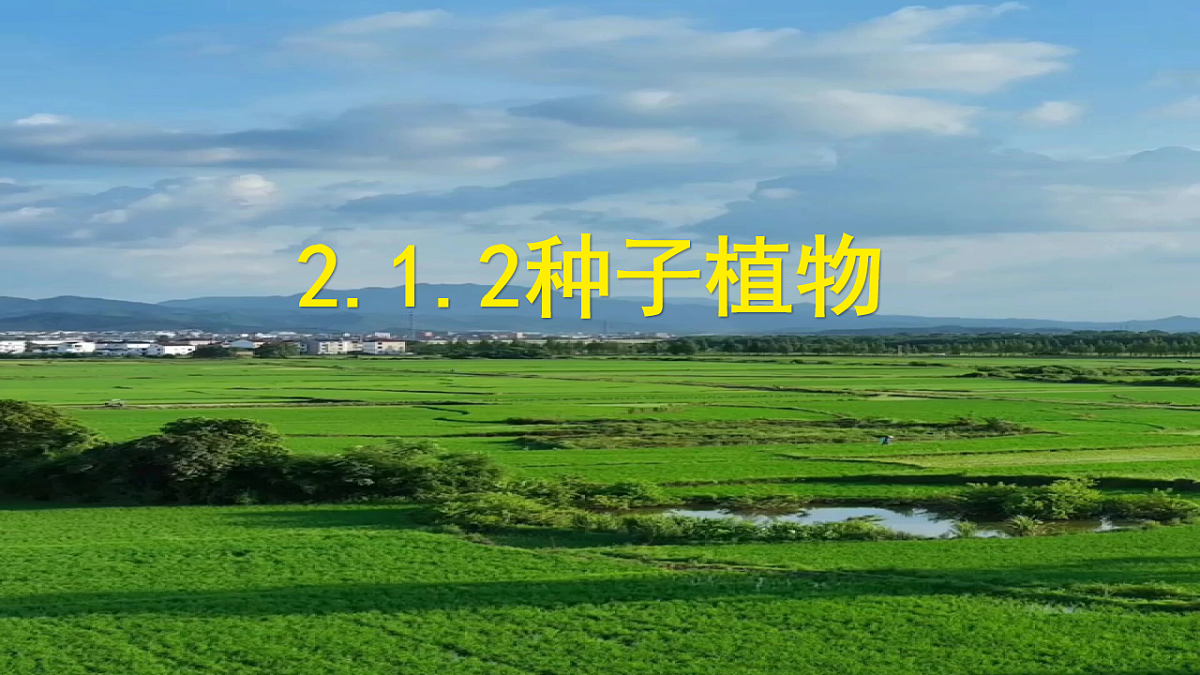 17665757第1页