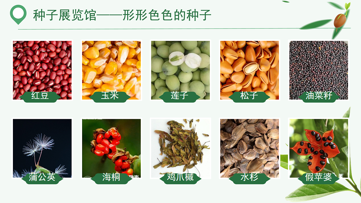17665757第2页