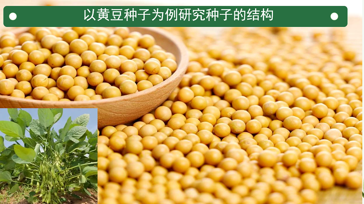 17665757第3页