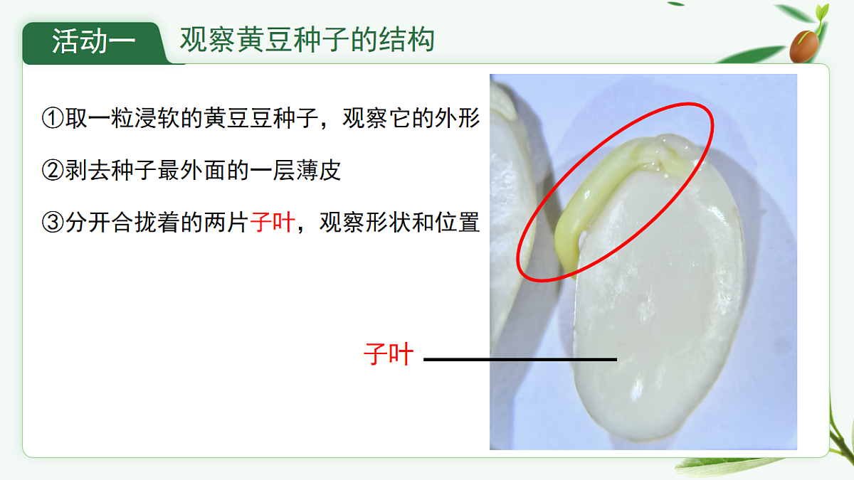 17665757第4页