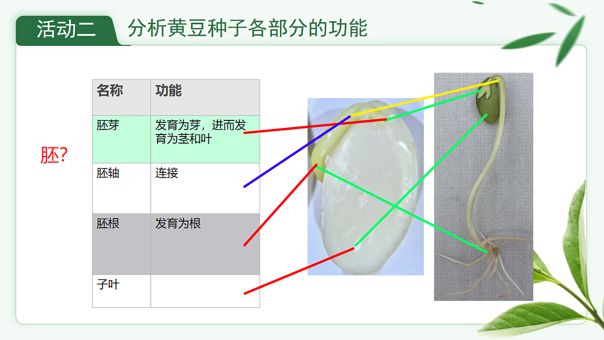 17665757第5页