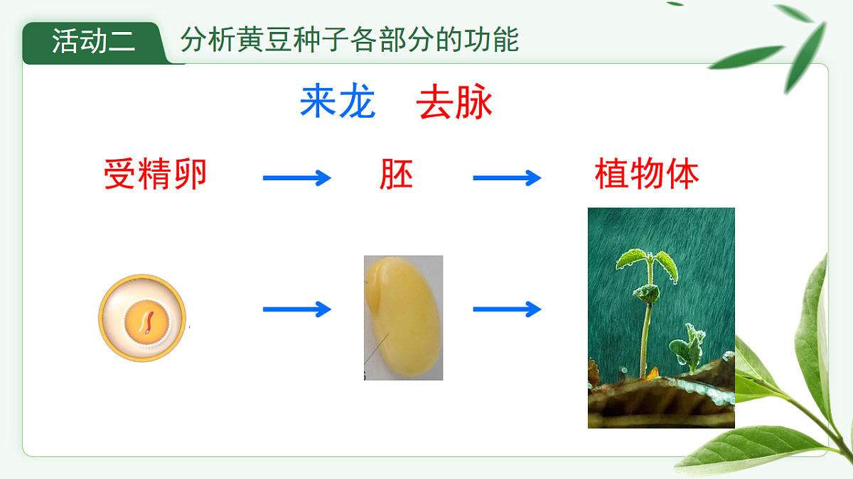 17665757第6页