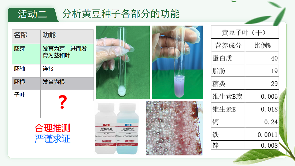 17665757第7页