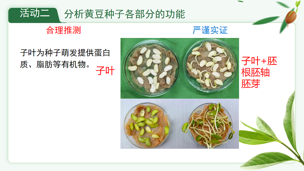 17665757第8页