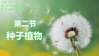 初中生物人教版（2024）七年级上册（2024）种子植物课前预习课件ppt