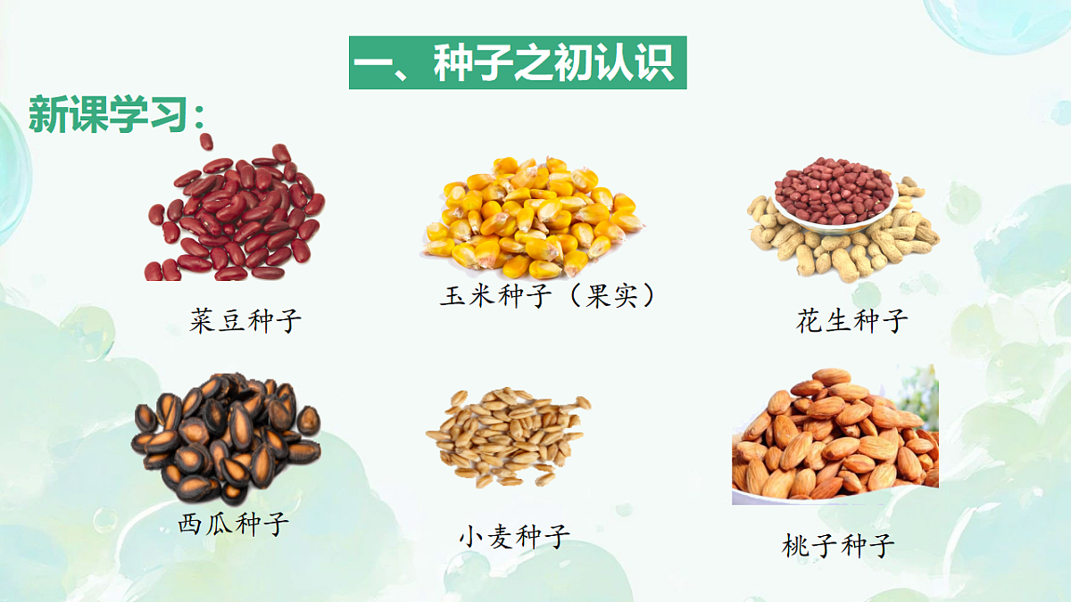 17665758第3页