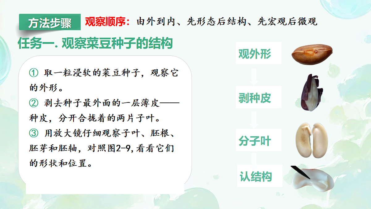 17665758第5页