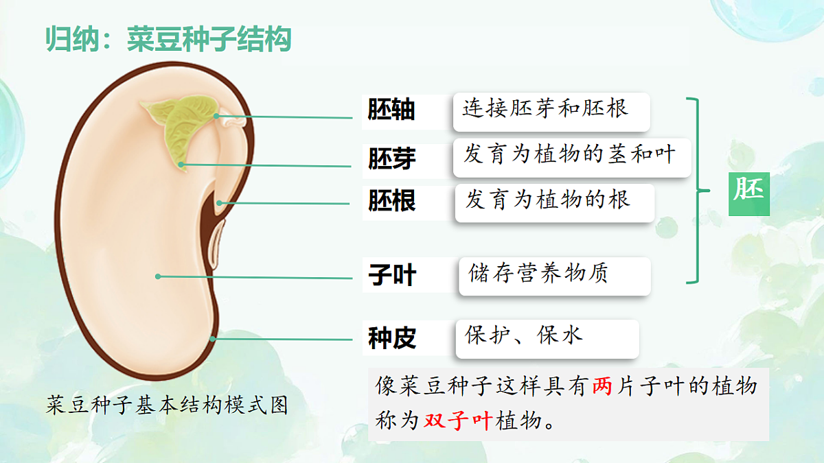 17665758第6页