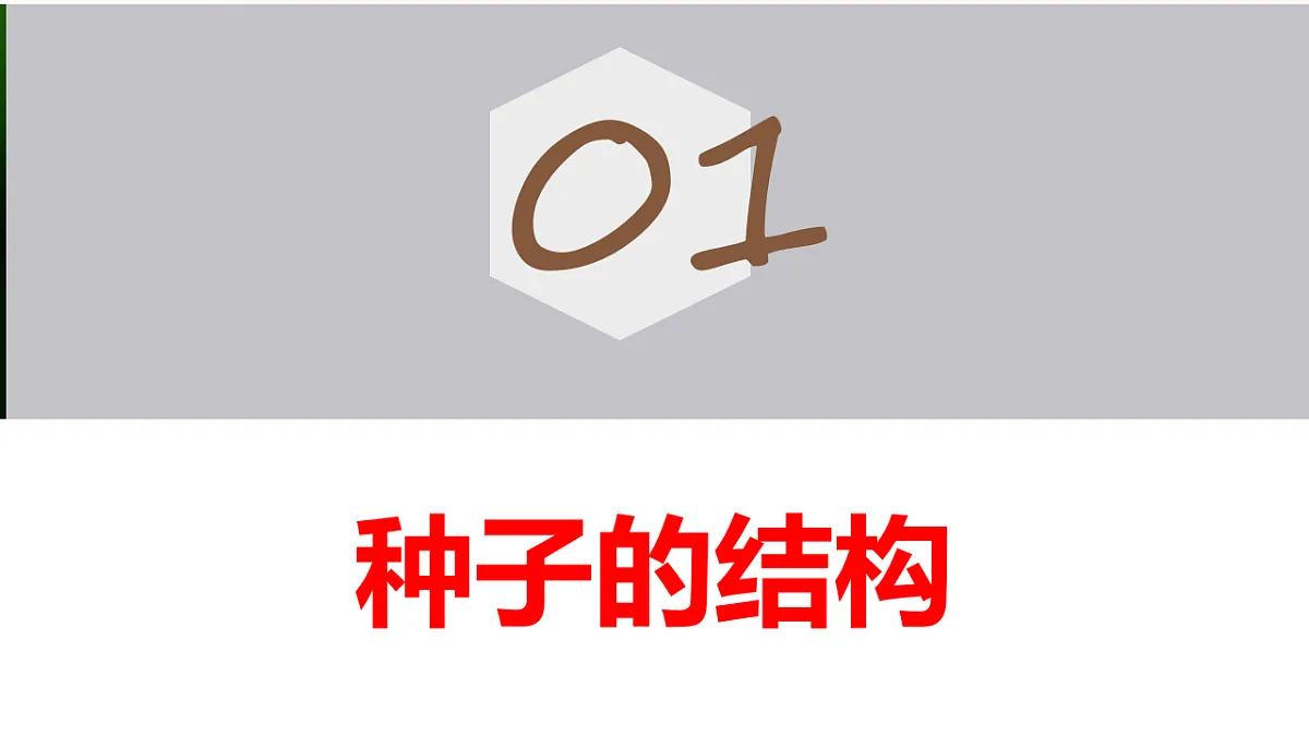 17665759第2页