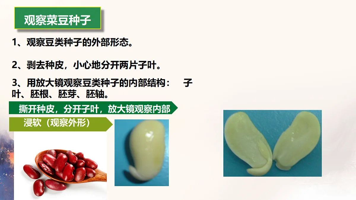 17665759第4页