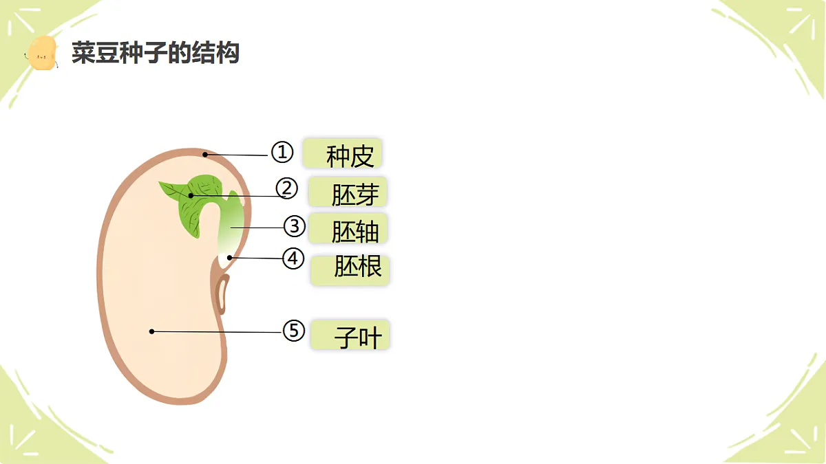 17665759第5页