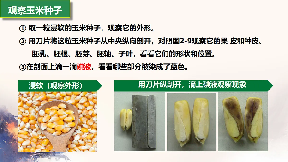 17665759第6页