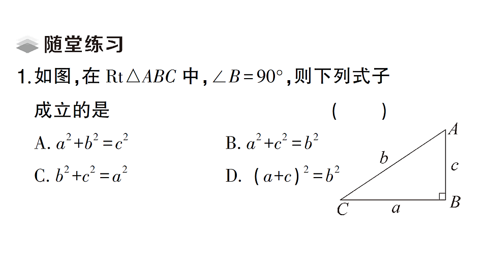 17667274第3页