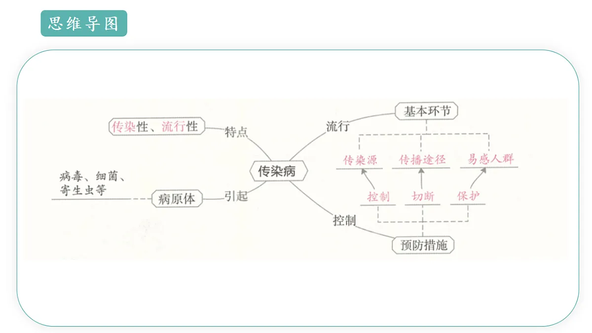 17668476第3页
