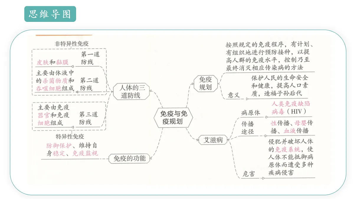 17668476第4页