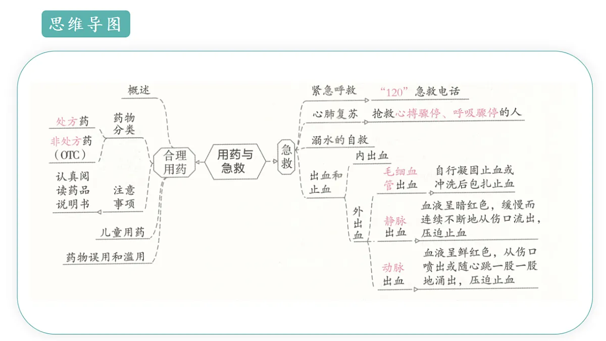 17668476第5页