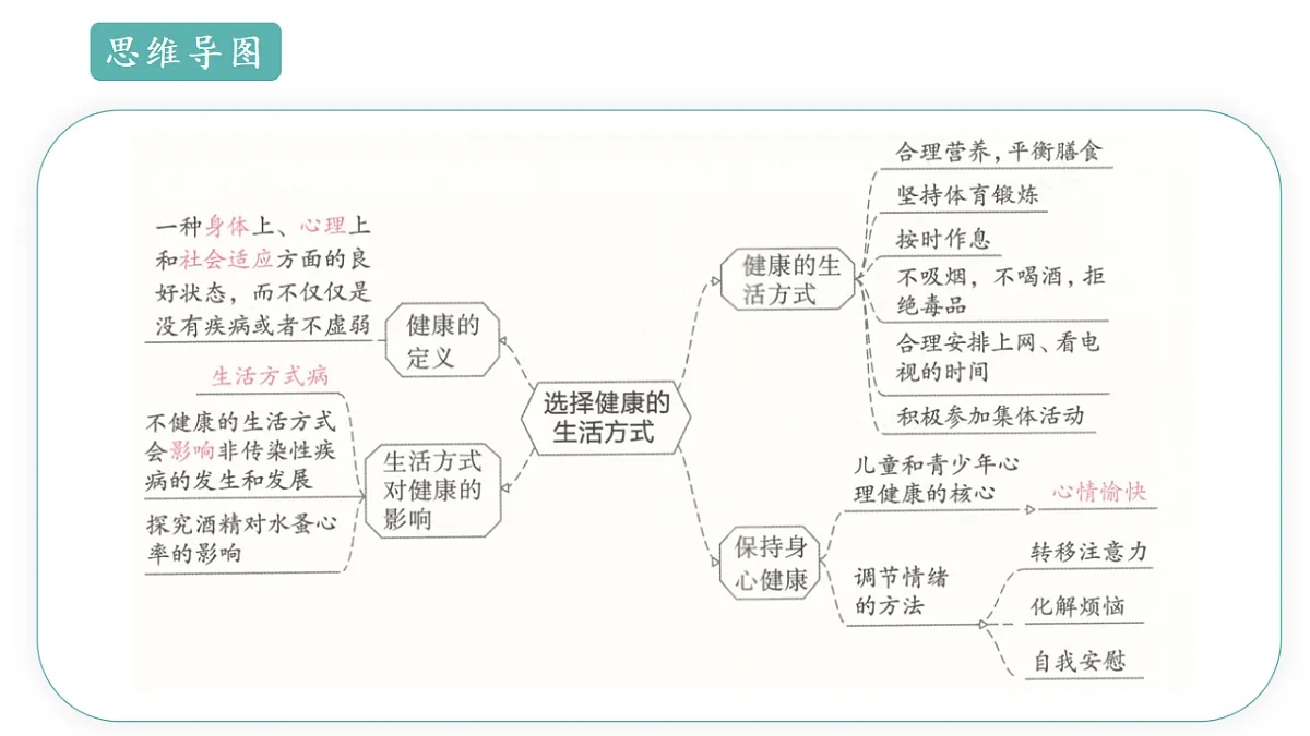 17668476第6页