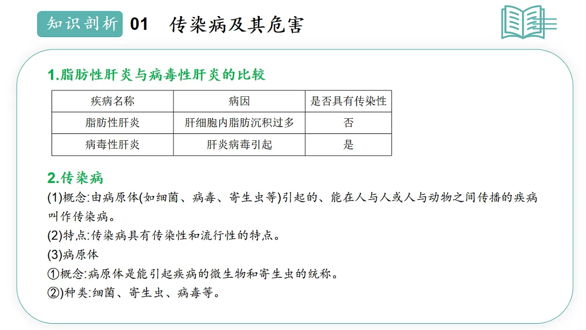 17668476第8页