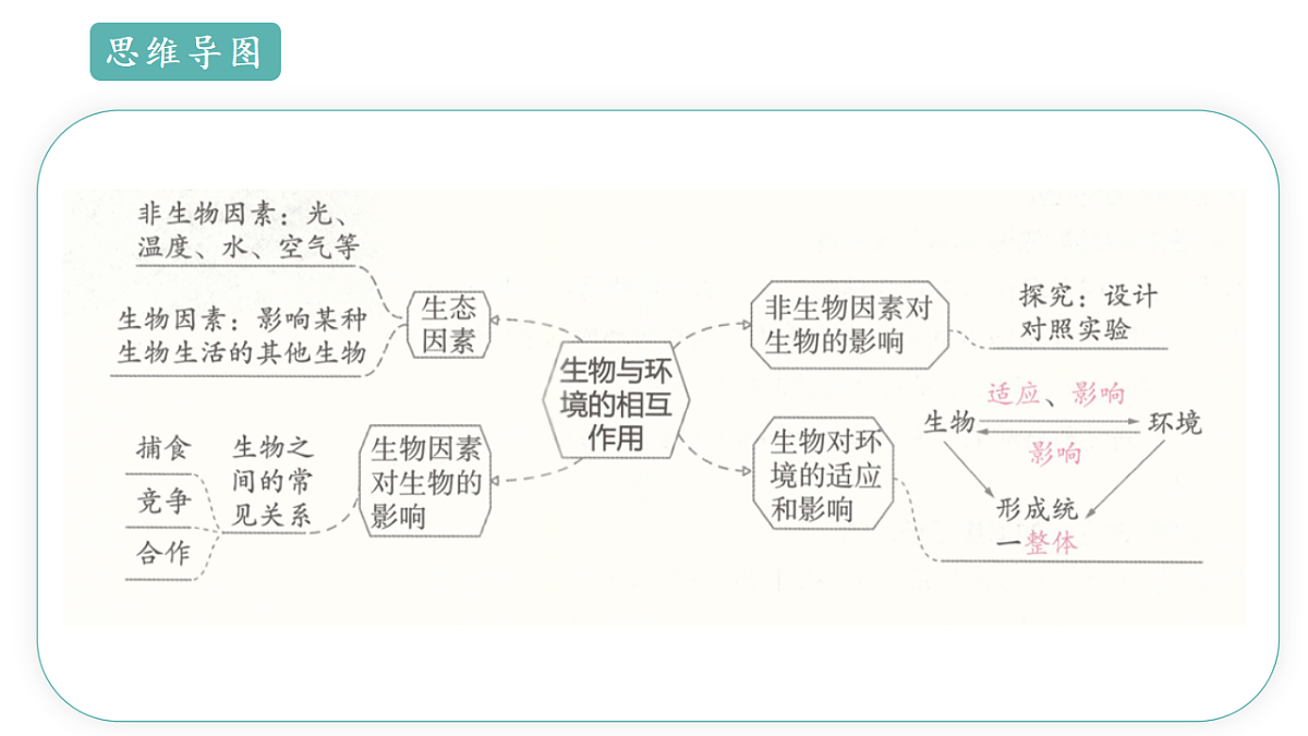 17668477第3页