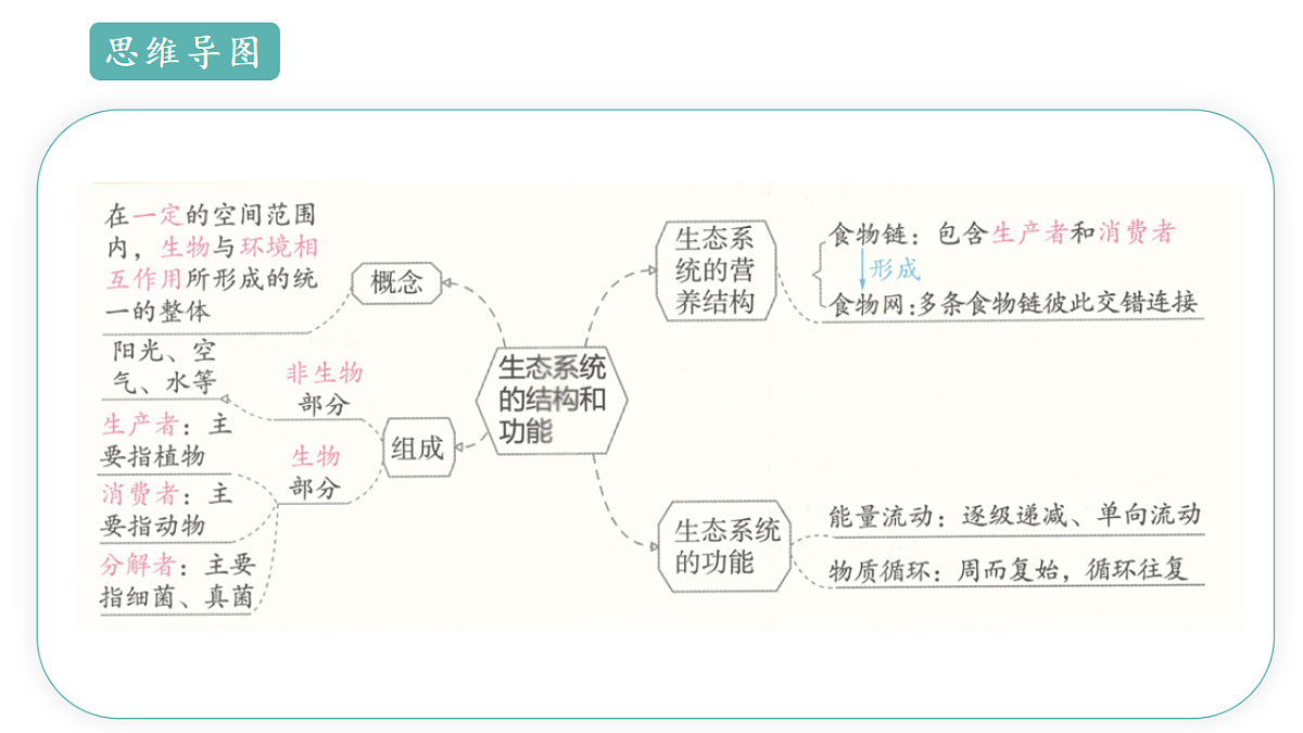 17668477第4页