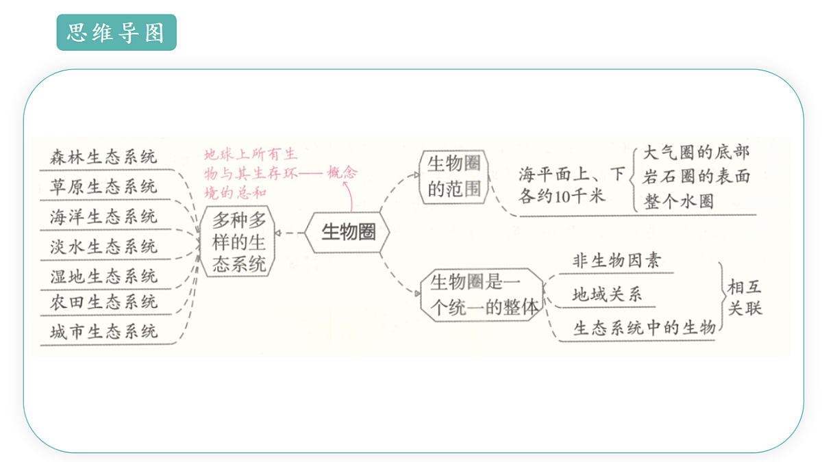 17668477第5页
