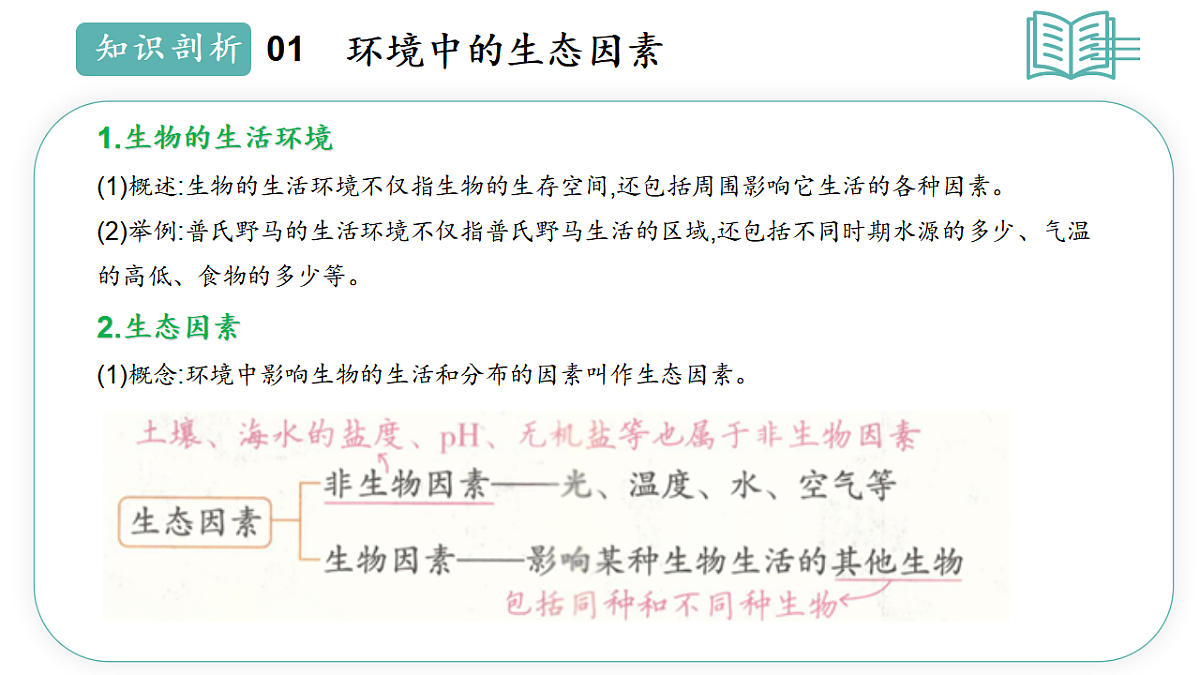 17668477第7页