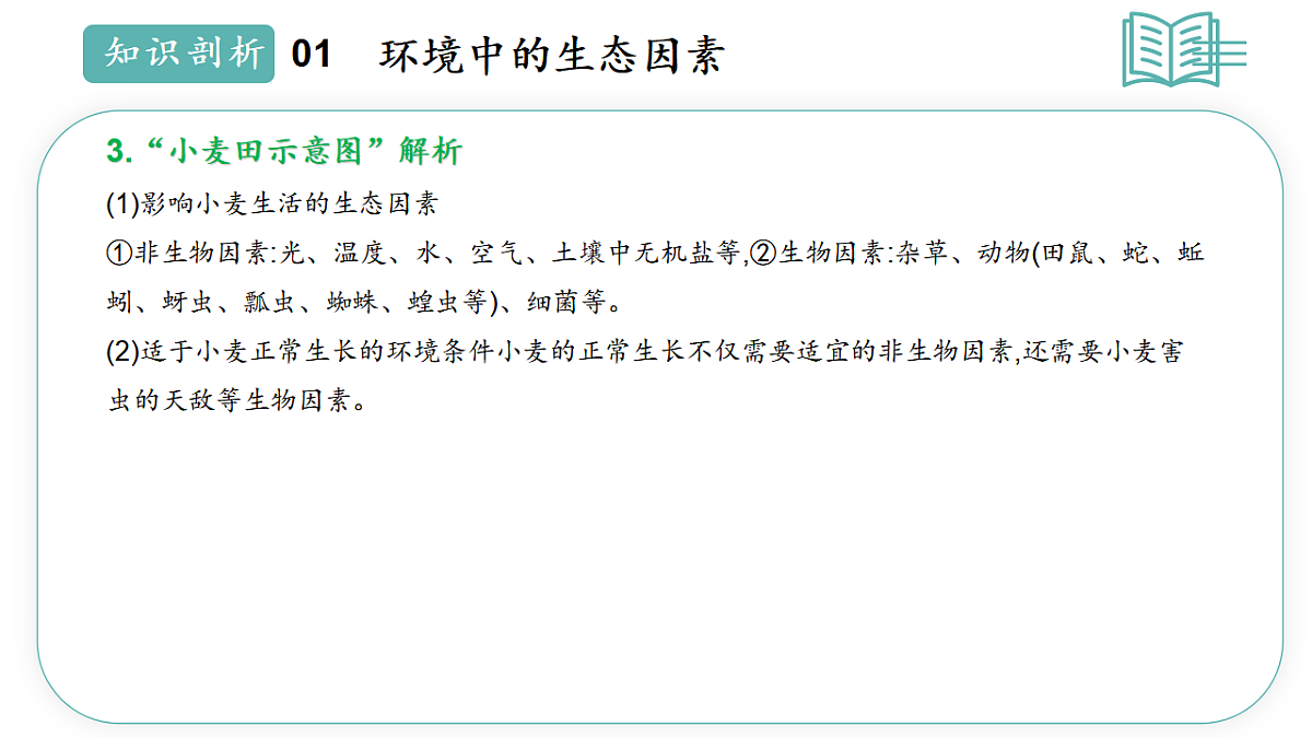 17668477第8页