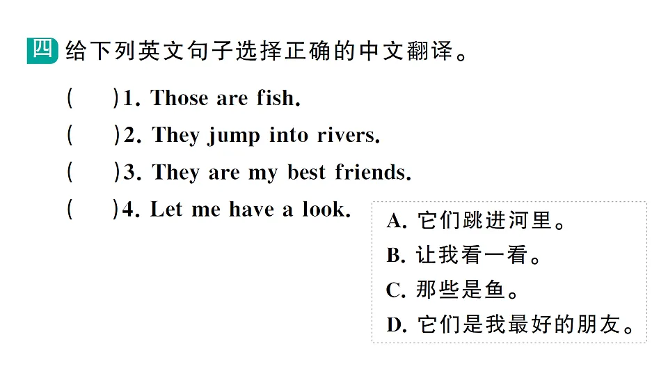 17668570第5页