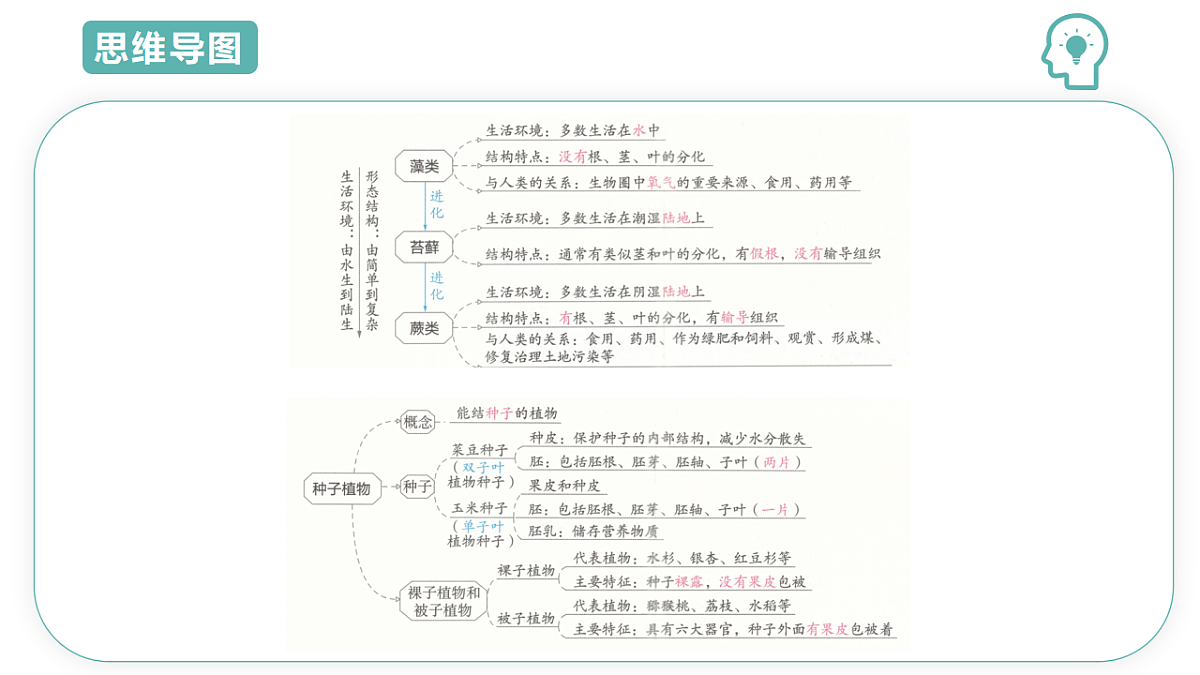 17668575第3页