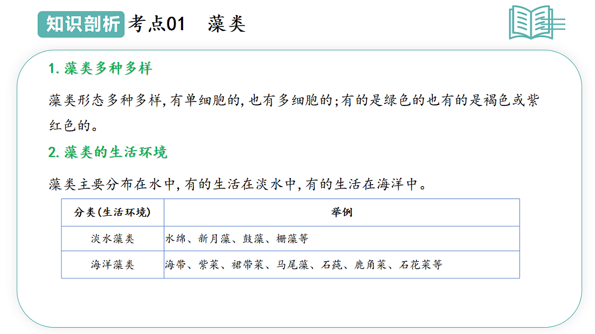 17668575第5页