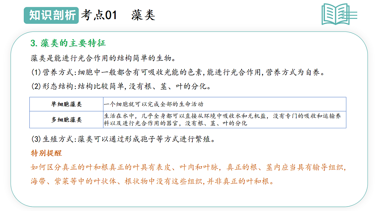 17668575第6页