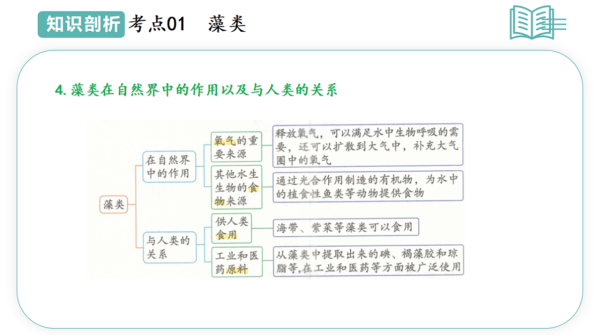 17668575第7页
