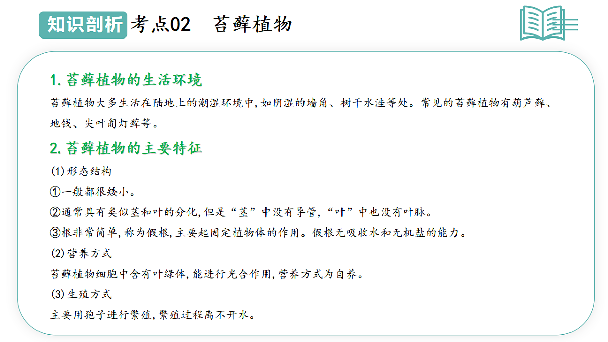 17668575第8页